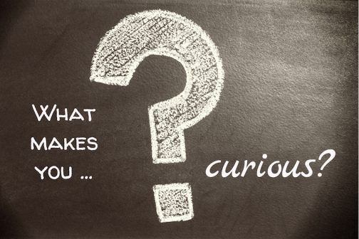 what-makes-you-curious