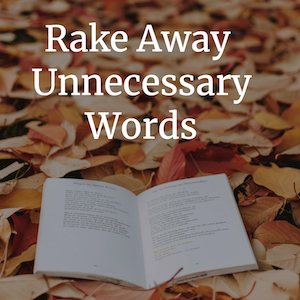 Making Revision a Habit with WordRake