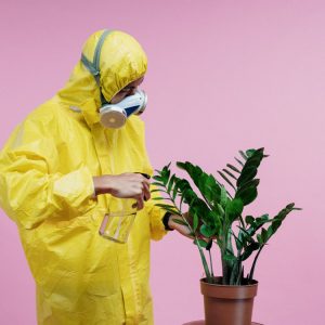 person using hazmat suit to water house plant