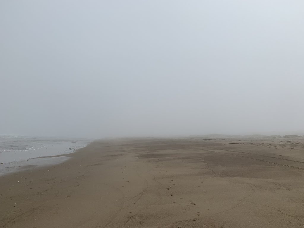 picture of a foggy beach