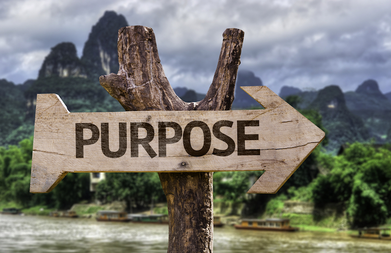 Wooden arrow saying purpose on a tree trunk in the wilderness