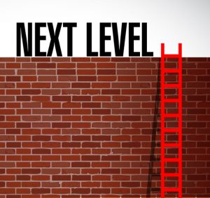 brick wall, red ladder, words Next Level at top