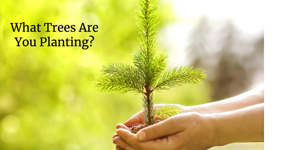 Writing as Planting Trees - Vimarsana News