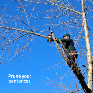 Man pruning branches of tree