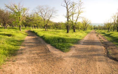 For in a dirt trail