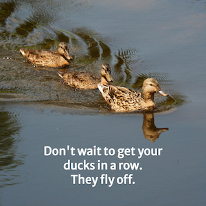 Three ducks in a lake. Words: Don't wait to get your ducks in a row. They fly off.