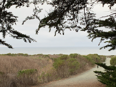 A trail near the ocean