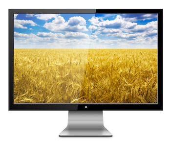 Image of field and sky in computer monitor